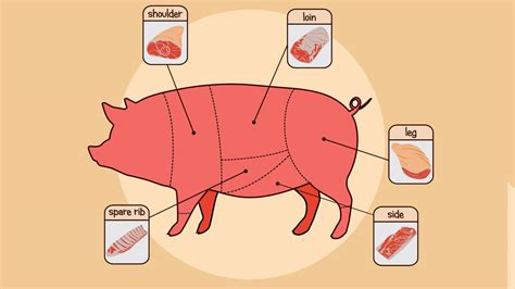 amatr prok|12 Common Pork Cuts and the Best Way to Cook with Each of。